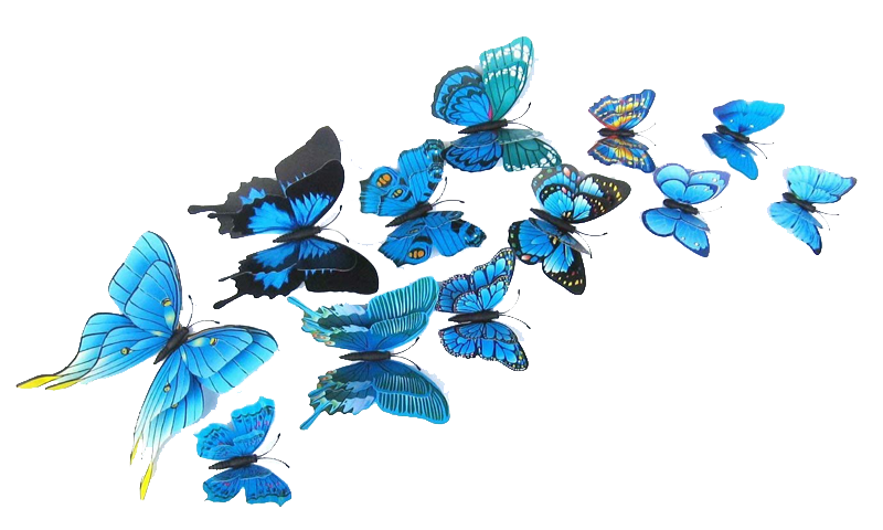 Mercyai Software